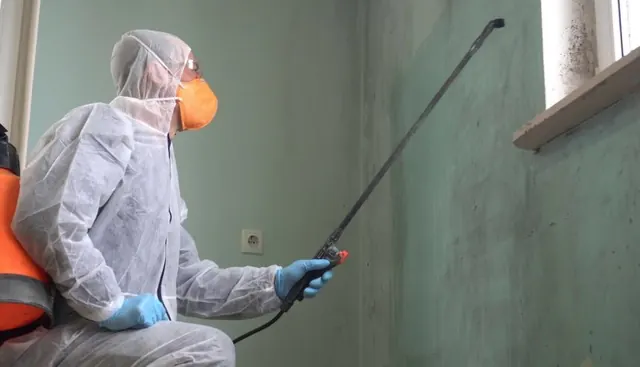 Technician applying antimicrobial treatment